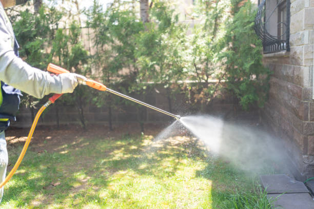 Best Flea Control Services  in Tolar, TX